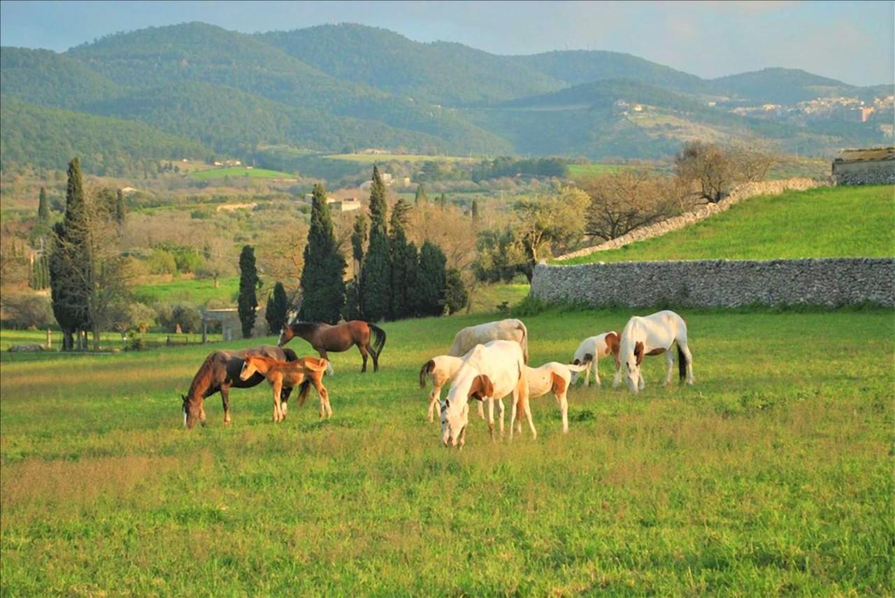 Villa Maria Chiaramonte Gulfi Exterior photo